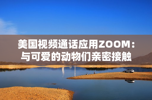 美国视频通话应用ZOOM：与可爱的动物们亲密接触