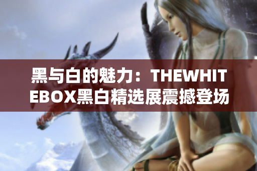 黑与白的魅力：THEWHITEBOX黑白精选展震撼登场