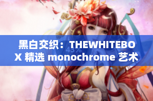 黑白交织：THEWHITEBOX 精选 monochrome 艺术