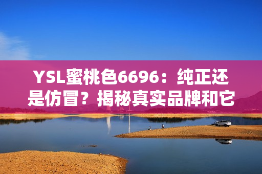 YSL蜜桃色6696：纯正还是仿冒？揭秘真实品牌和它的近似色调