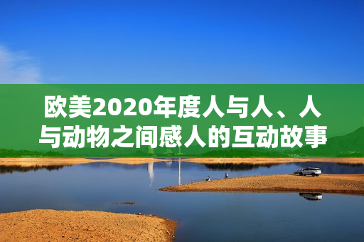 欧美2020年度人与人、人与动物之间感人的互动故事盘点