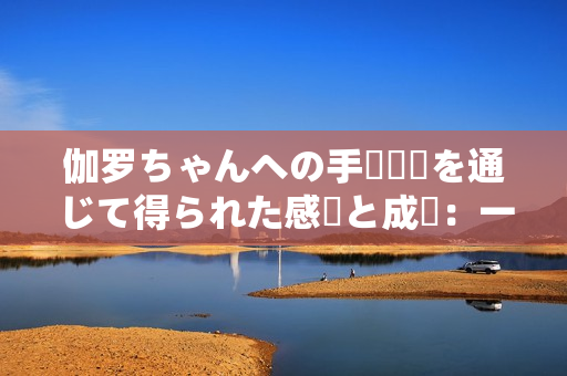 伽罗ちゃんへの手術経験を通じて得られた感動と成長：一匹犬の物語