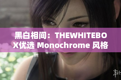 黑白相间：THEWHITEBOX优选 Monochrome 风格