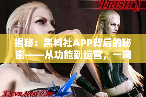 揭秘：黑料社APP背后的秘密——从功能到运营，一网打尽！