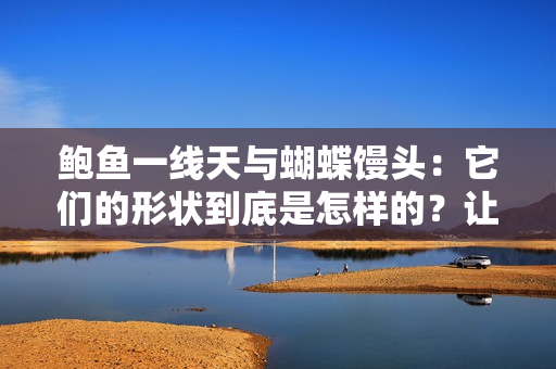 鲍鱼一线天与蝴蝶馒头：它们的形状到底是怎样的？让我们一探究竟