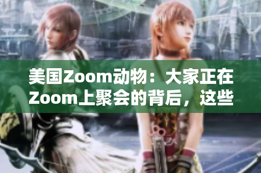 美国Zoom动物：大家正在Zoom上聚会的背后，这些宠物成了明星