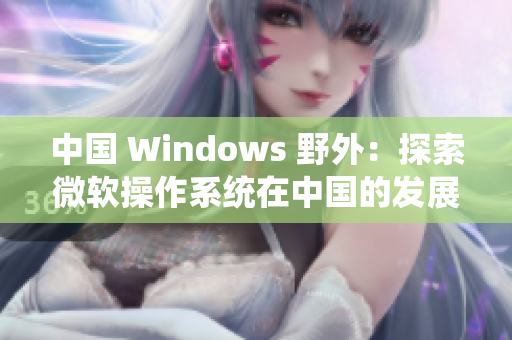 中国 Windows 野外：探索微软操作系统在中国的发展历程