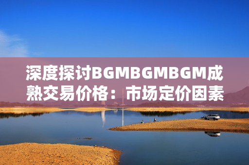 深度探讨BGMBGMBGM成熟交易价格：市场定价因素及趋势分析