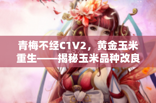 青梅不经C1V2，黄金玉米重生——揭秘玉米品种改良的奥秘