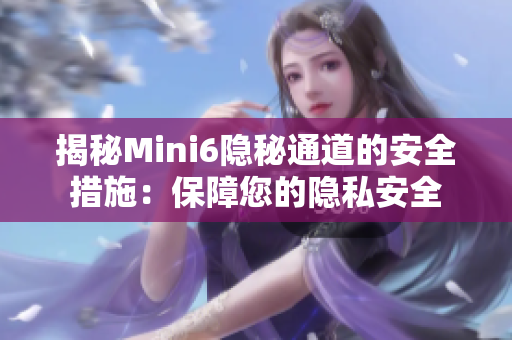 揭秘Mini6隐秘通道的安全措施：保障您的隐私安全