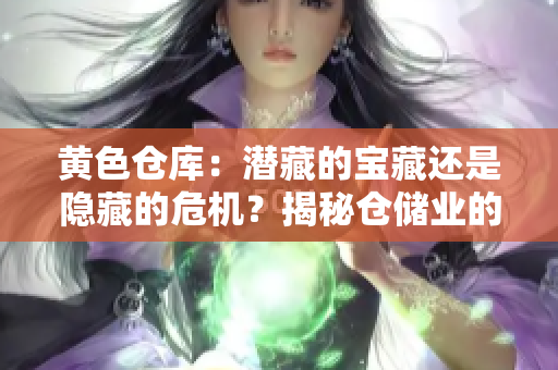 黄色仓库：潜藏的宝藏还是隐藏的危机？揭秘仓储业的挑战与机遇