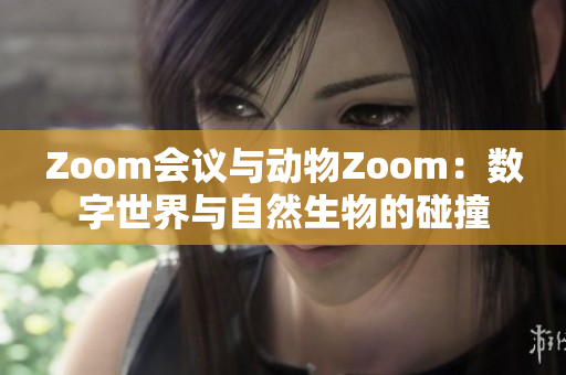 Zoom会议与动物Zoom：数字世界与自然生物的碰撞