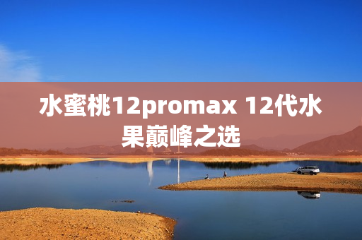 水蜜桃12promax 12代水果巅峰之选