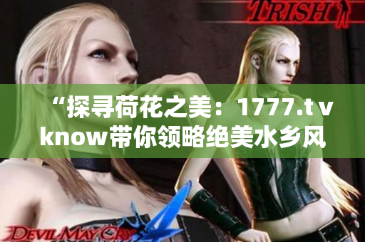 “探寻荷花之美：1777.tⅴknow带你领略绝美水乡风情”