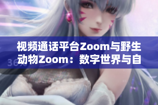 视频通话平台Zoom与野生动物Zoom：数字世界与自然奇观的对比