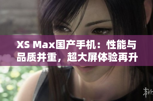 XS Max国产手机：性能与品质并重，超大屏体验再升级