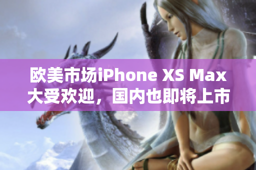 欧美市场iPhone XS Max大受欢迎，国内也即将上市