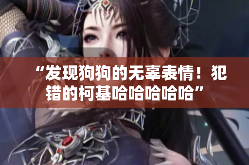 “发现狗狗的无辜表情！犯错的柯基哈哈哈哈哈”