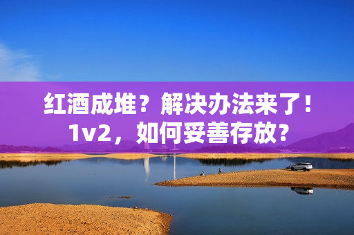 红酒成堆？解决办法来了！1v2，如何妥善存放？