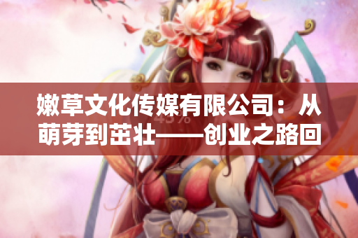 嫩草文化传媒有限公司：从萌芽到茁壮——创业之路回顾与展望