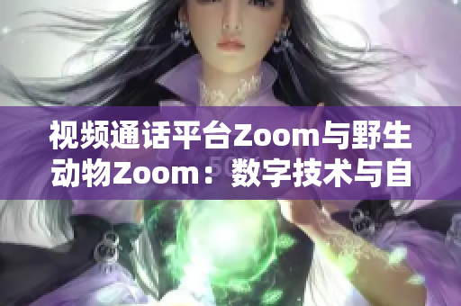 视频通话平台Zoom与野生动物Zoom：数字技术与自然界的交汇