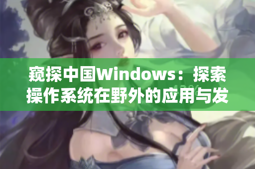 窥探中国Windows：探索操作系统在野外的应用与发展