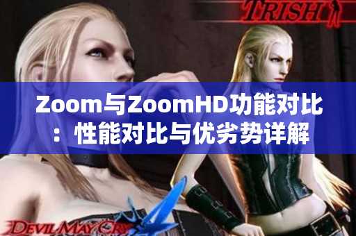 Zoom与ZoomHD功能对比：性能对比与优劣势详解