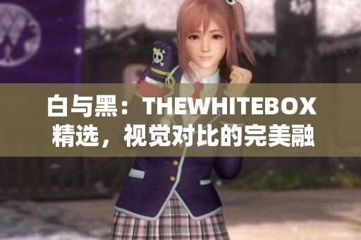 白与黑：THEWHITEBOX 精选，视觉对比的完美融合