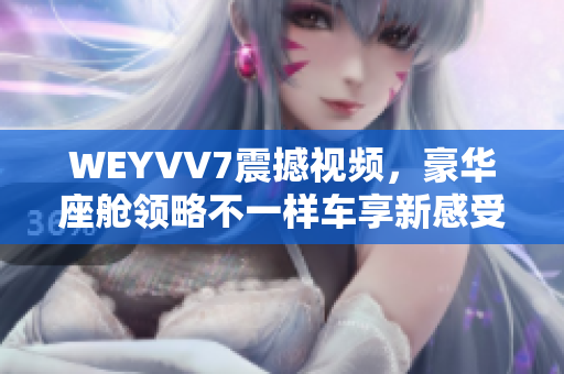 WEYVV7震撼视频，豪华座舱领略不一样车享新感受