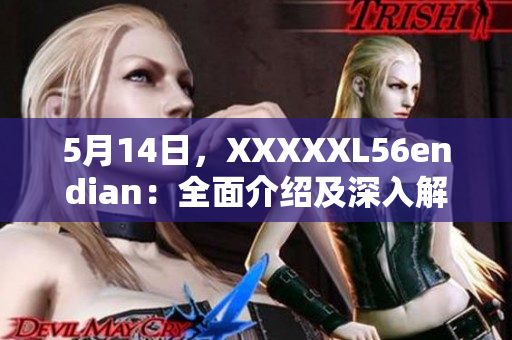 5月14日，XXXXXL56endian：全面介绍及深入解析