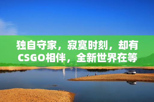 独自守家，寂寞时刻，却有CSGO相伴，全新世界在等待着。