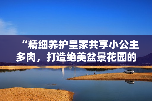 “精细养护皇家共享小公主多肉，打造绝美盆景花园的秘诀揭秘！”