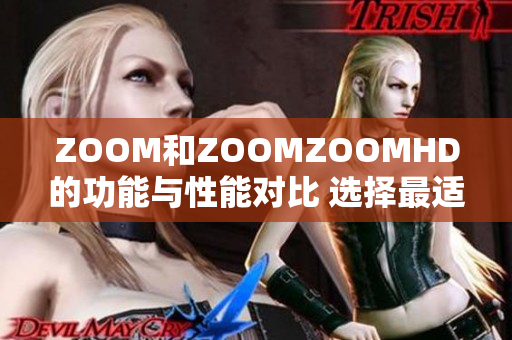 ZOOM和ZOOMZOOMHD的功能与性能对比 选择最适合你的视频会议平台