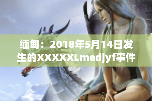 缅甸：2018年5月14日发生的XXXXXLmedjyf事件再次受到关注。