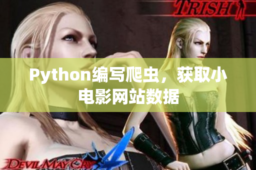 Python编写爬虫，获取小电影网站数据