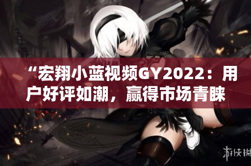 “宏翔小蓝视频GY2022：用户好评如潮，赢得市场青睐”