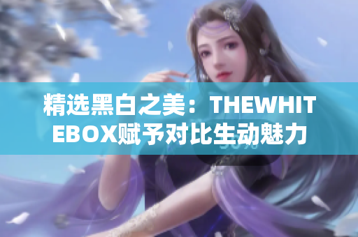 精选黑白之美：THEWHITEBOX赋予对比生动魅力