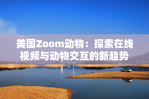 美国Zoom动物：探索在线视频与动物交互的新趋势