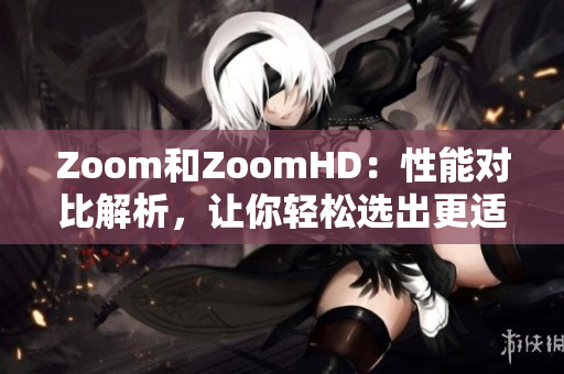 Zoom和ZoomHD：性能对比解析，让你轻松选出更适合你的摄像方案