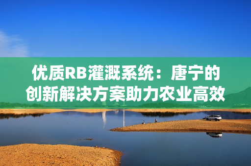 优质RB灌溉系统：唐宁的创新解决方案助力农业高效灌溉