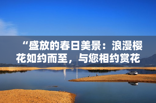 “盛放的春日美景：浪漫樱花如约而至，与您相约赏花之旅！”