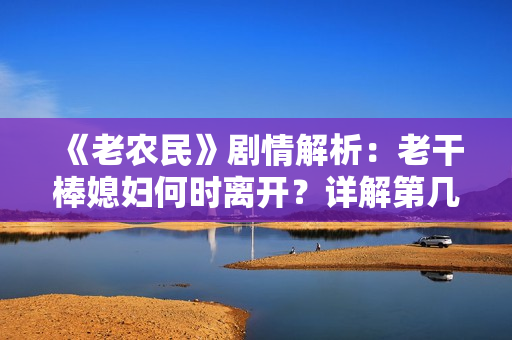 《老农民》剧情解析：老干棒媳妇何时离开？详解第几集