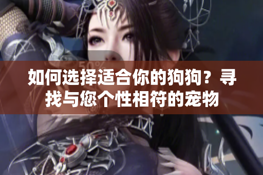 如何选择适合你的狗狗？寻找与您个性相符的宠物