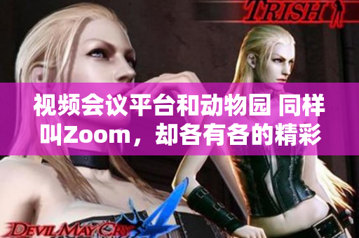 视频会议平台和动物园 同样叫Zoom，却各有各的精彩世界