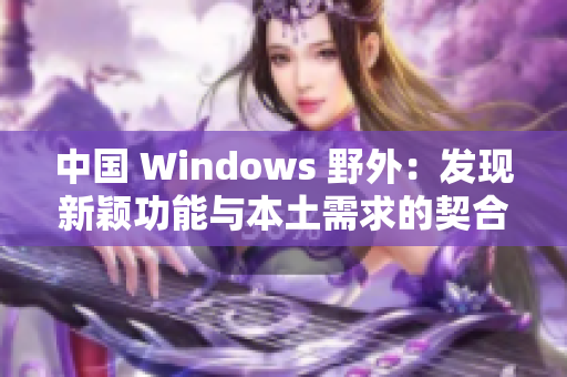 中国 Windows 野外：发现新颖功能与本土需求的契合