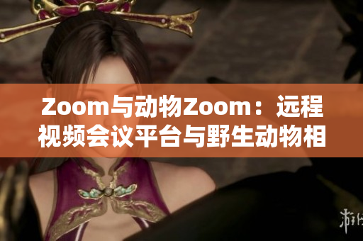 Zoom与动物Zoom：远程视频会议平台与野生动物相遇的奇妙之旅