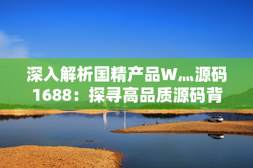 深入解析国精产品W灬源码1688：探寻高品质源码背后的技术与价值