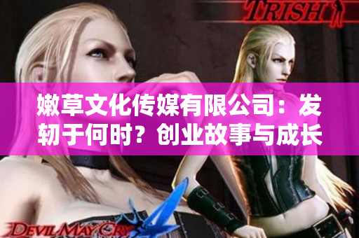 嫩草文化传媒有限公司：发轫于何时？创业故事与成长历程