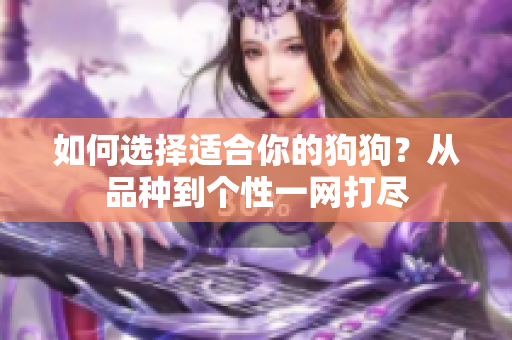 如何选择适合你的狗狗？从品种到个性一网打尽