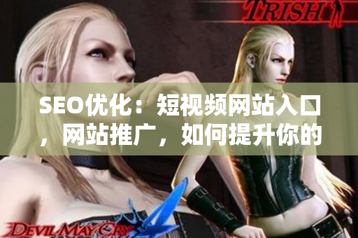 SEO优化：短视频网站入口，网站推广，如何提升你的短视频网页流量